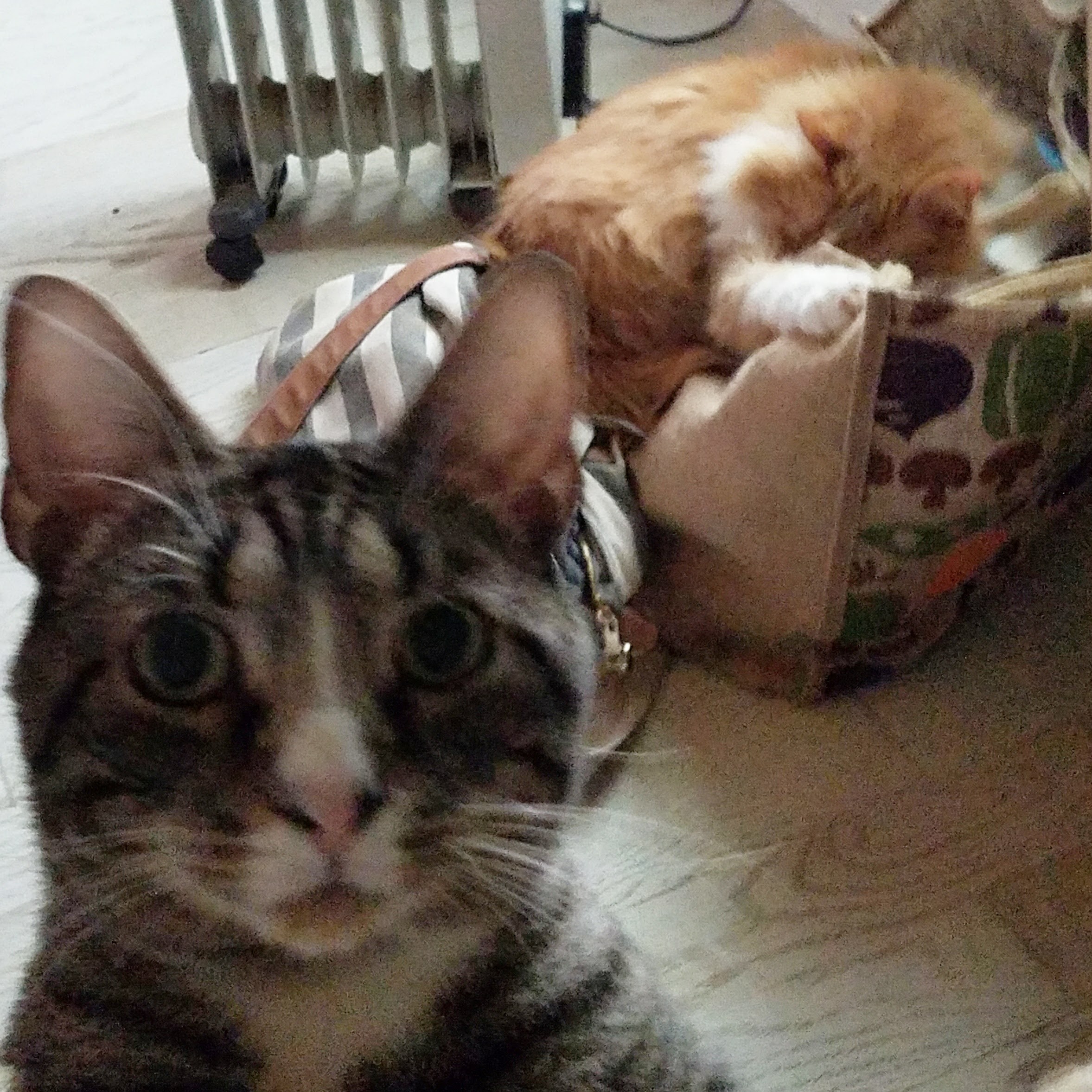 Piper and Oskar